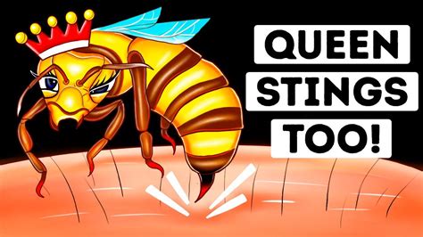 Queen Bee: Unleashing the Sting of Tactical Fighting!